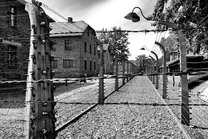 KZ Auschwitz, Gedenken an die Befreiung vor 80 Jahren